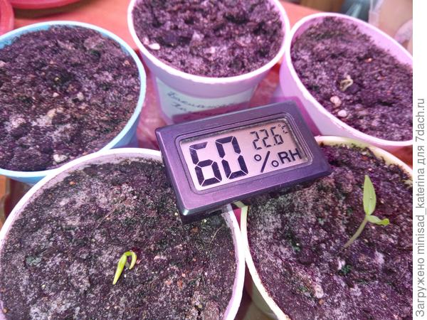 Еще два всхода 16.03.