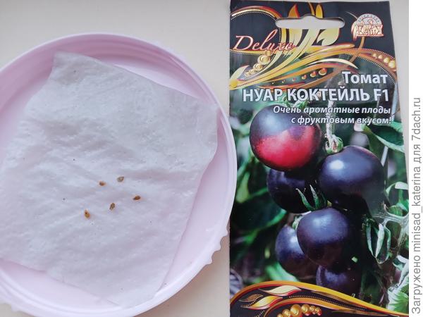 Замачивание семян