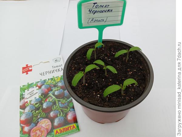 27 марта