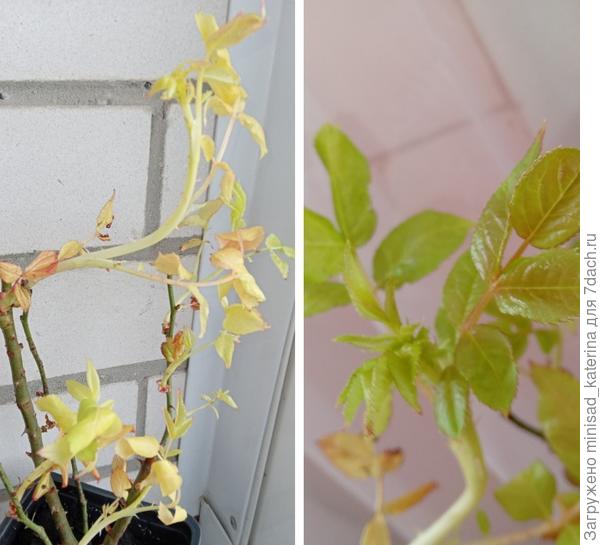 Вчера и сегодня