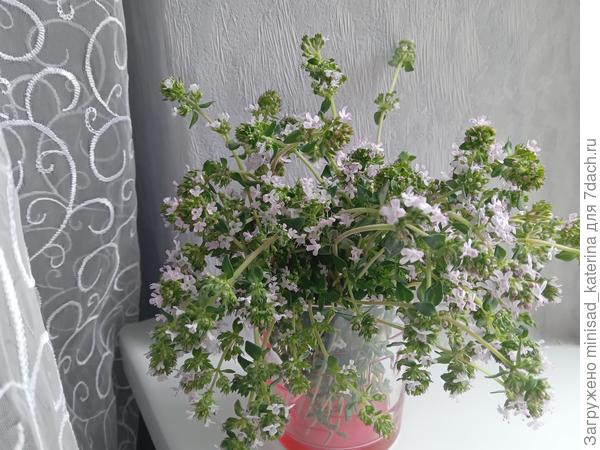 Букетик тимьяна