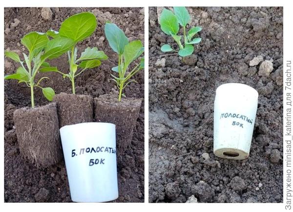 Посадка 05.05.23