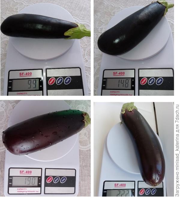 Масса плодов