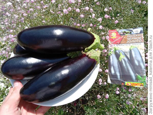 Вот такие замечательные плоды