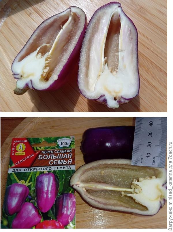 Перец в разрезе