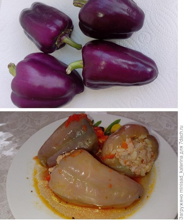 Перец в свежем виде и после термической обработки