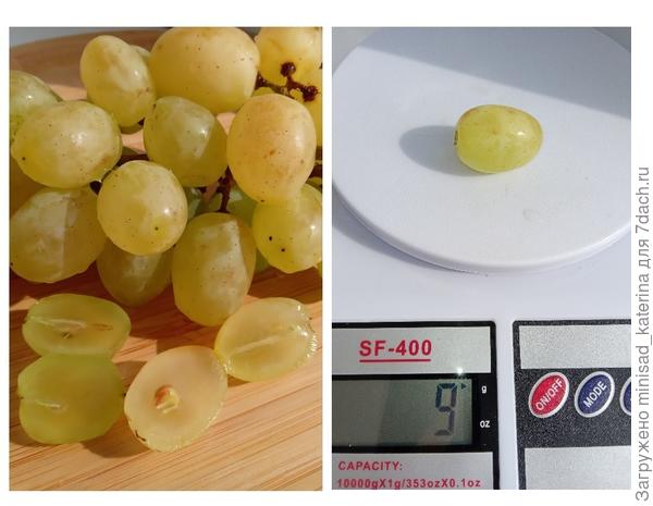 Ягода в разрезе и вес ягоды