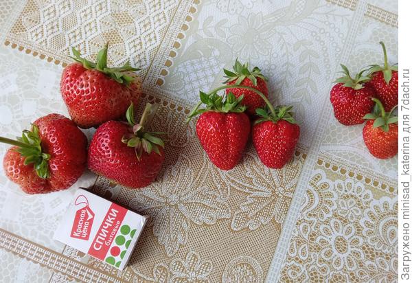 Ягоды крупноплодной клубники в сравнении с другими сортами