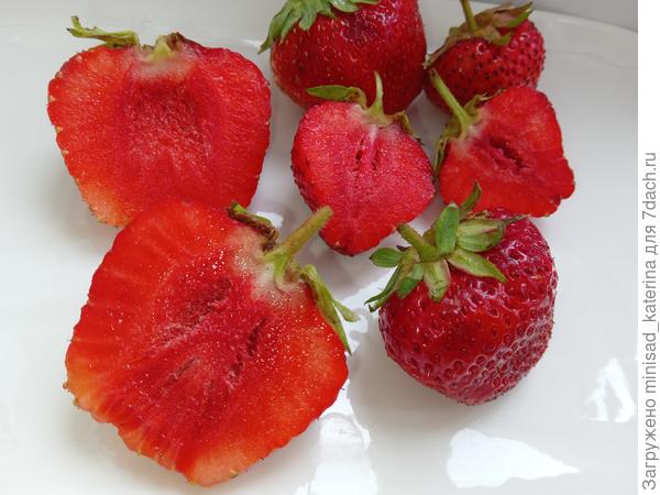 Ягоды в разрезе