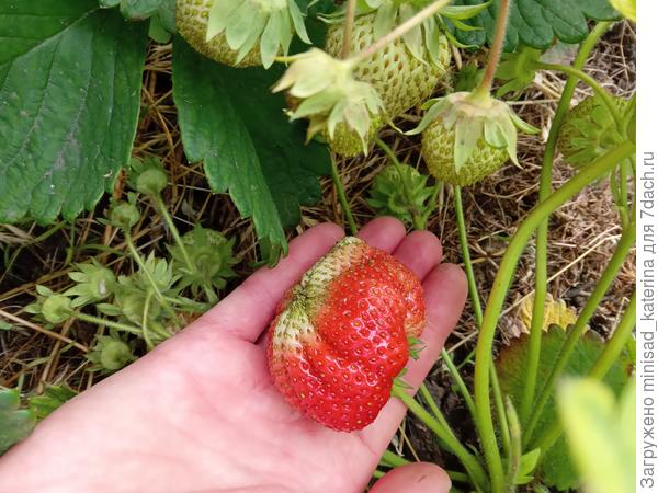 Начало сбора