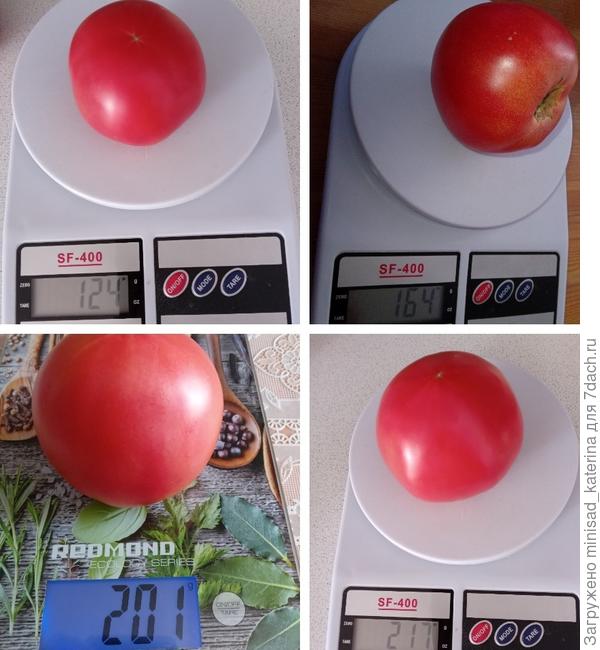 Вес плодов