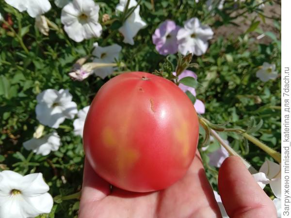 Как правило так проявляется недостаток калия