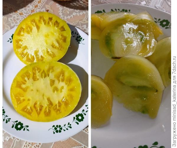 Белый зубр в разрезе