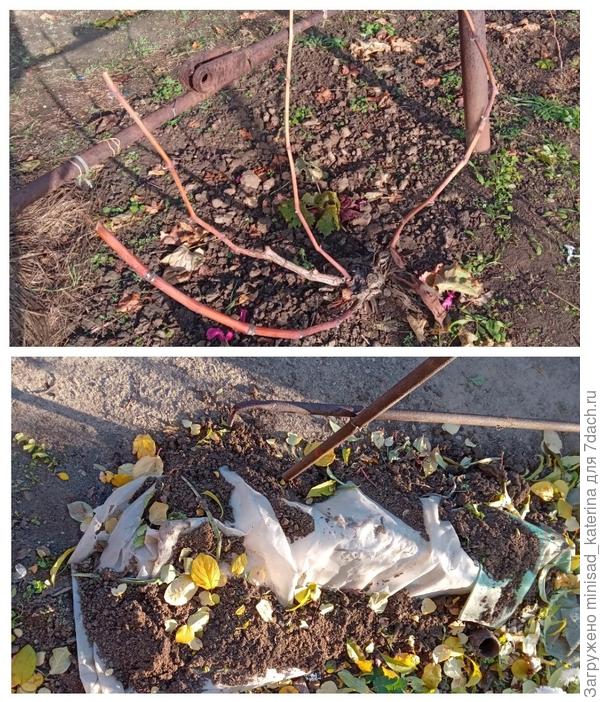 Подготовка к зимовке