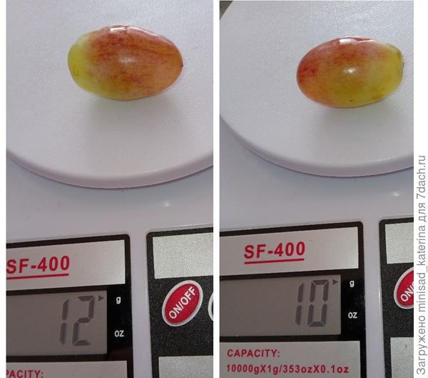 Вес ягоды