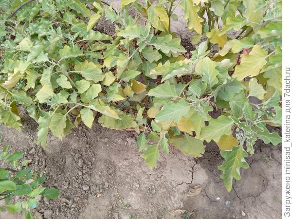 10.09.23 конец тестирования