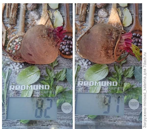 Вторая часть урожая, 24.09.23