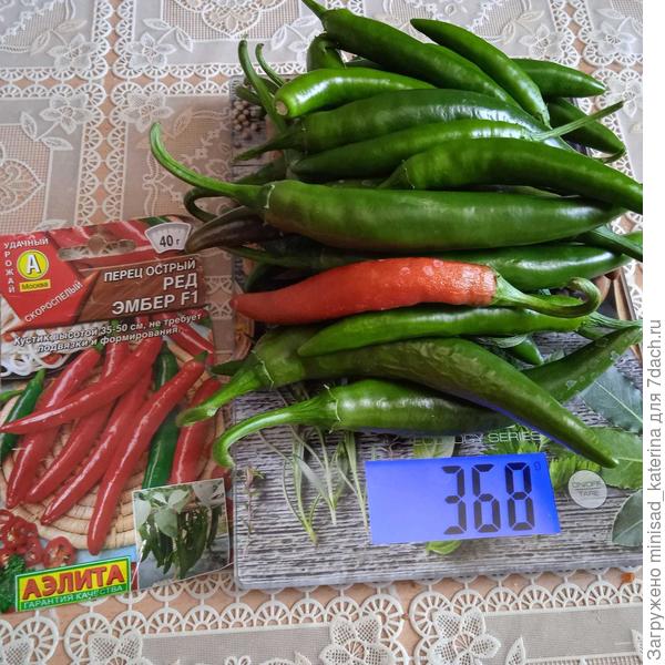 Урожай со второго куста