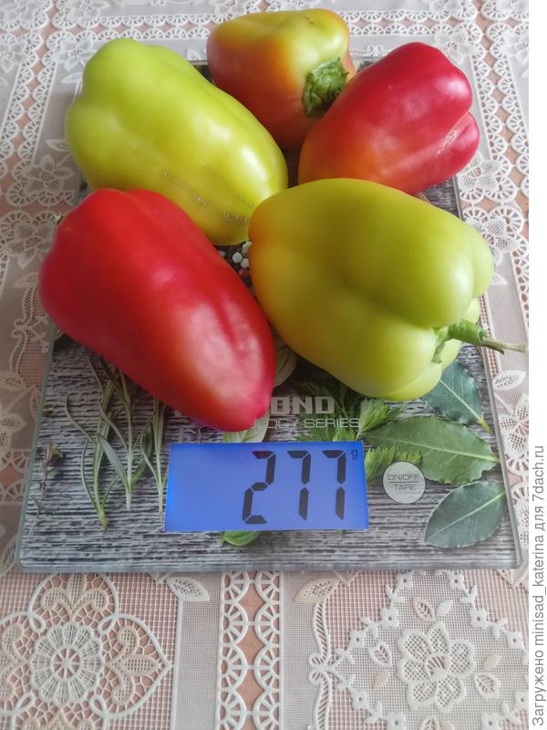 Урожай 01.08.23