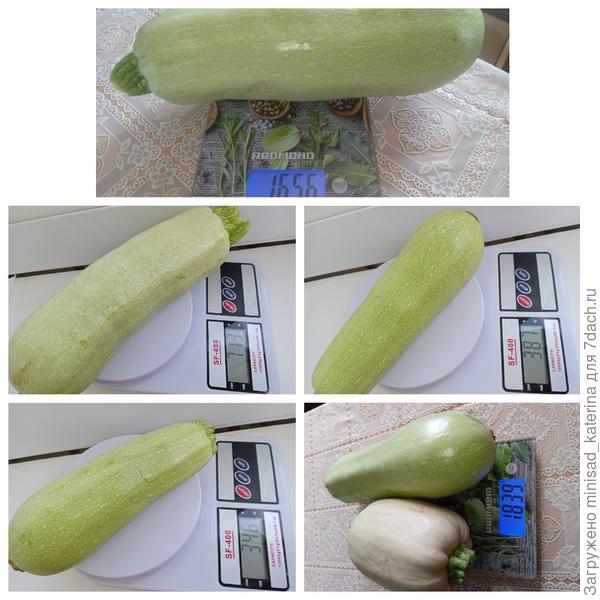 Урожай июль