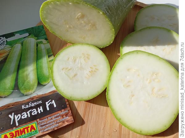 Кабачок в разрече