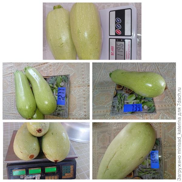 Урожай август