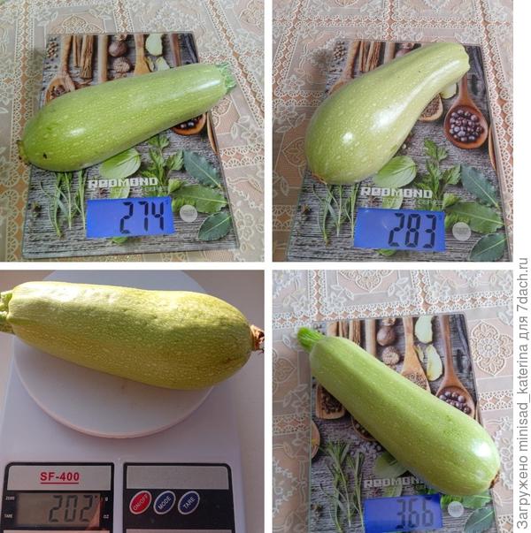 Вес молоденьких