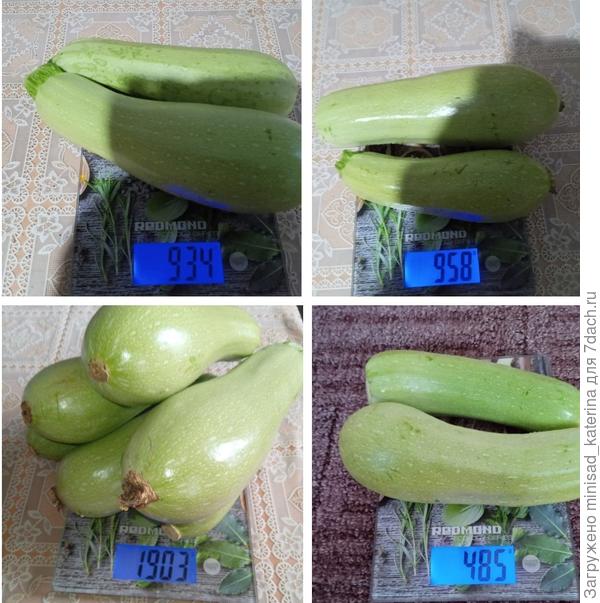 Урожай июль