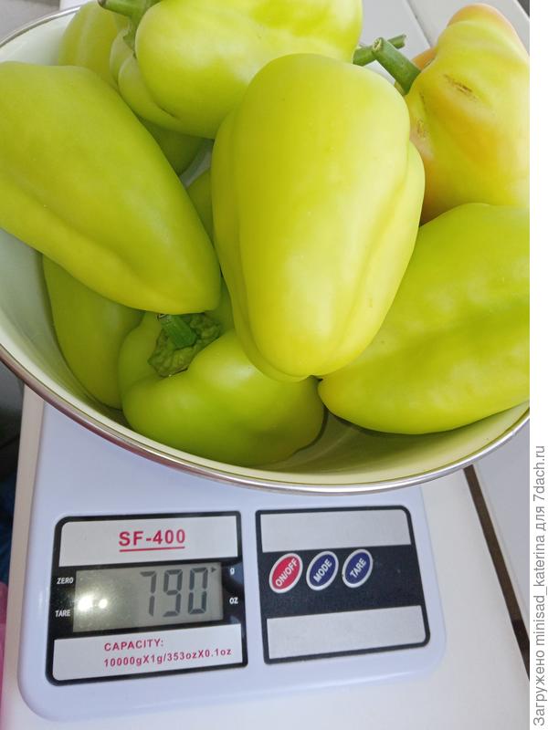 Второй сбор