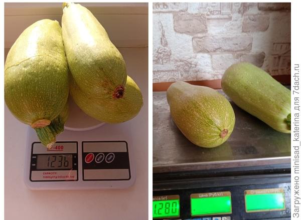 Урожай сентябрь