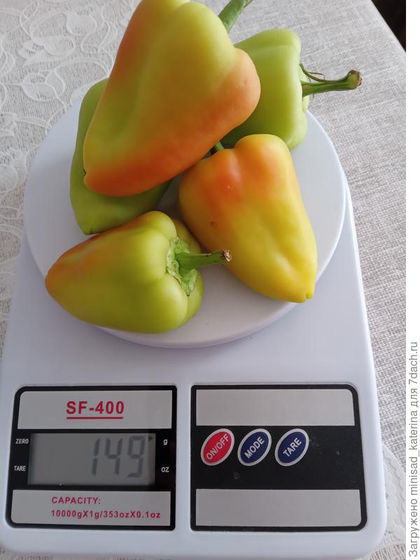 Следующий сбор