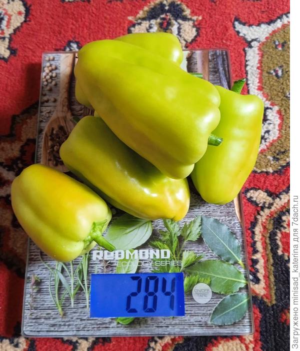 Первый урожай 15.07.23