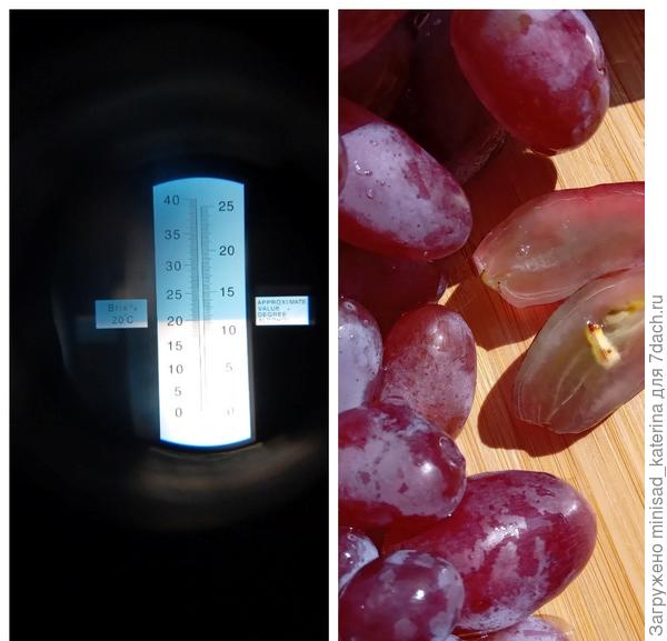 Уровень сахара