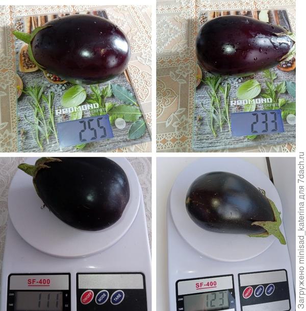 Вес плодов