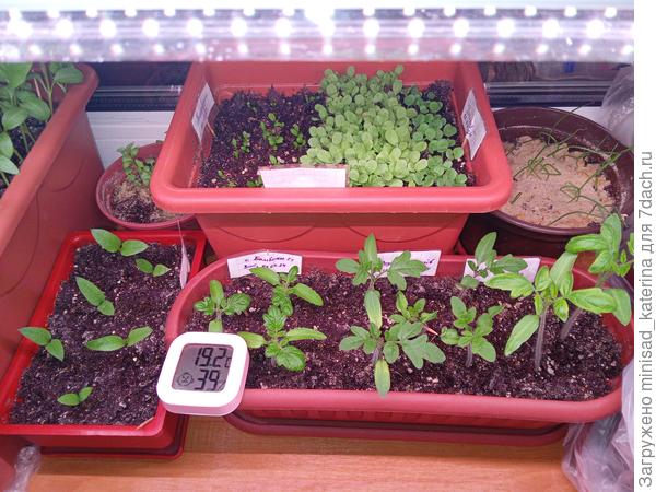 Условия содеражния в ночное время. 23.03.24