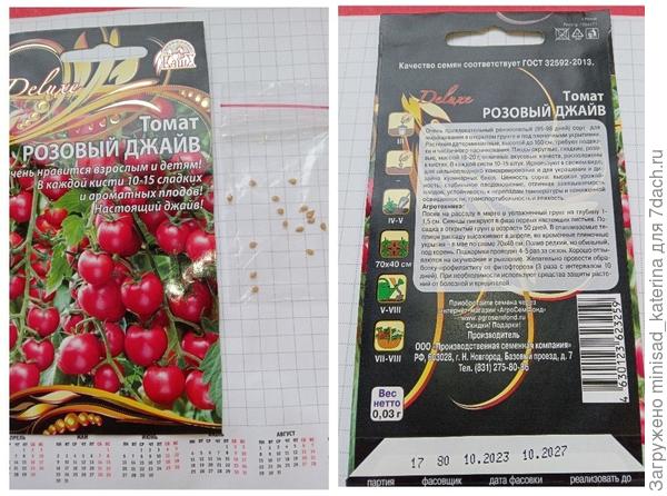 Розовый джайв