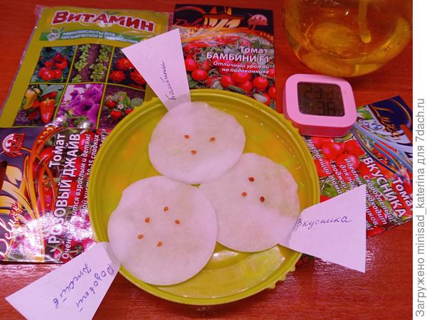 Замачивание семян