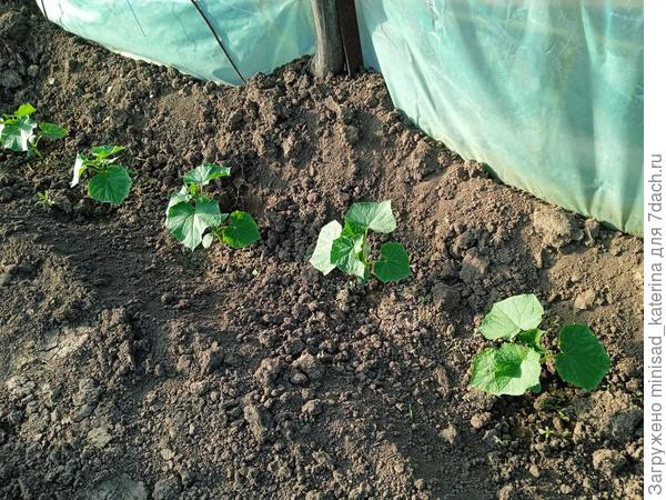 Конец апреля