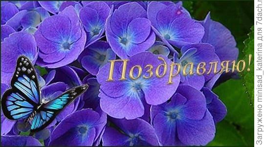 Поздравляю!