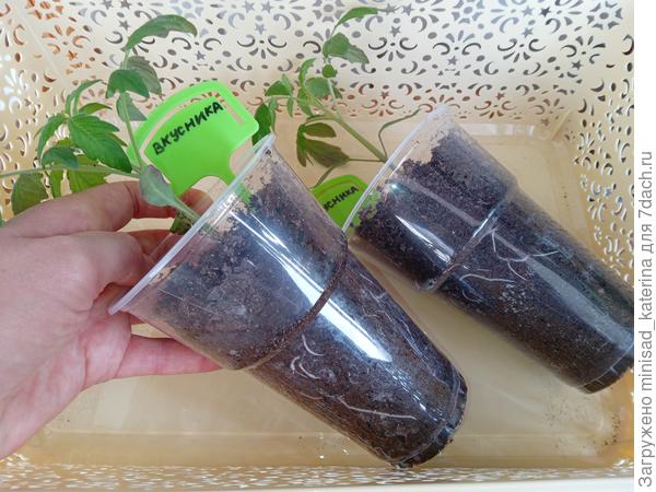 01.04.24 развитие