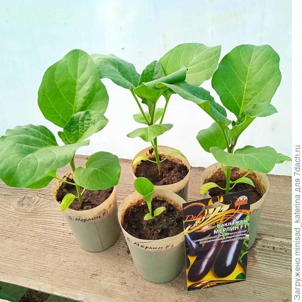 Перед высадкой