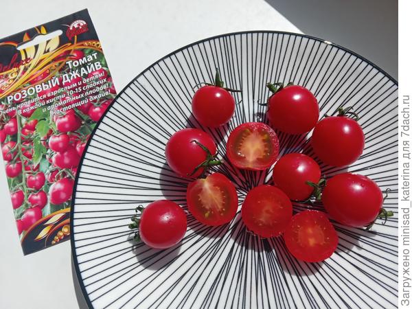 Розовый джайв