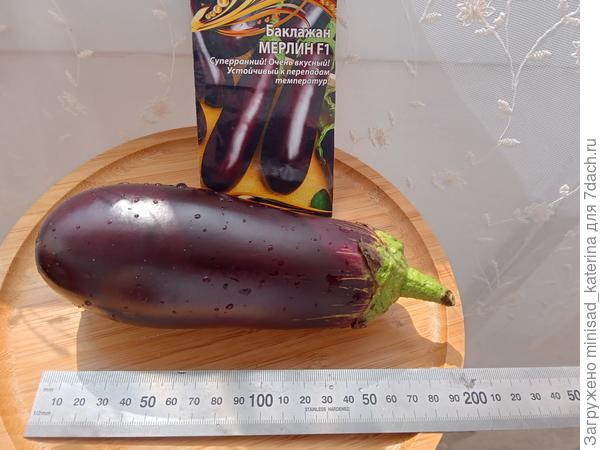 Длина плода