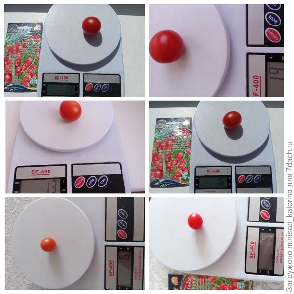 Масса плодов