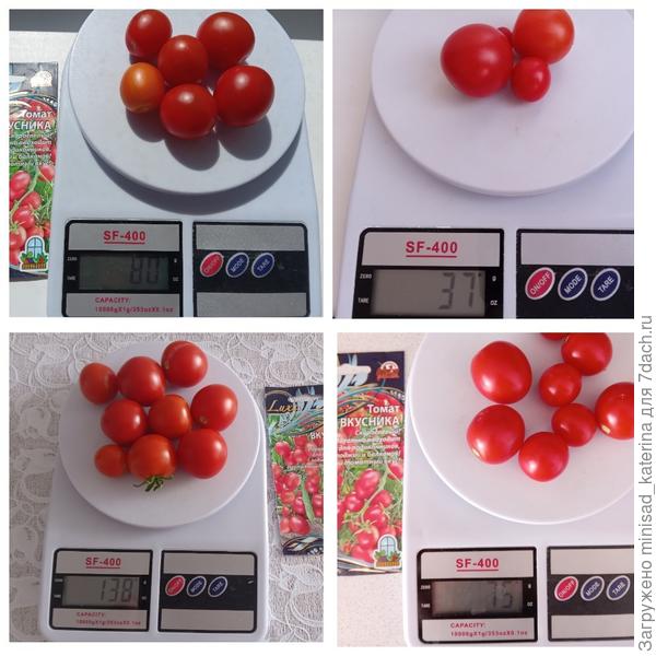 Урожай Вкусники