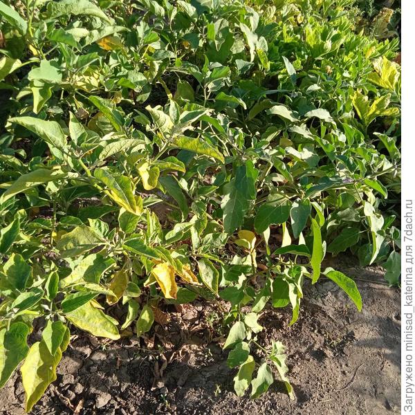 27.09.24 конец тестирования