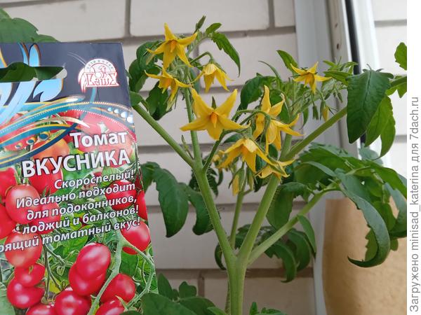 26-28.04. началось активное цветение Вкусники