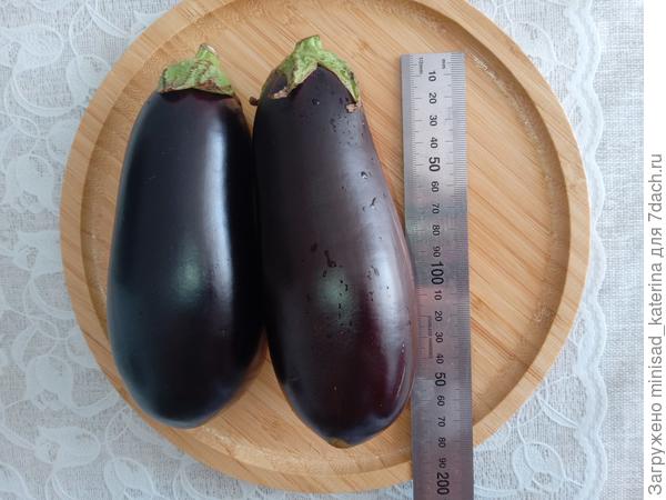 Длина и форма