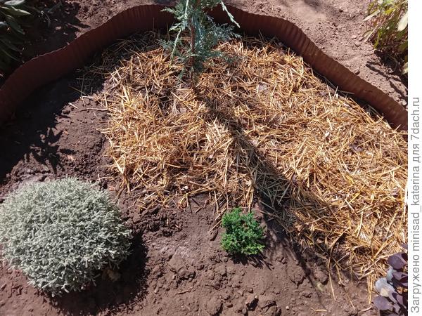 Мульчирование соломой