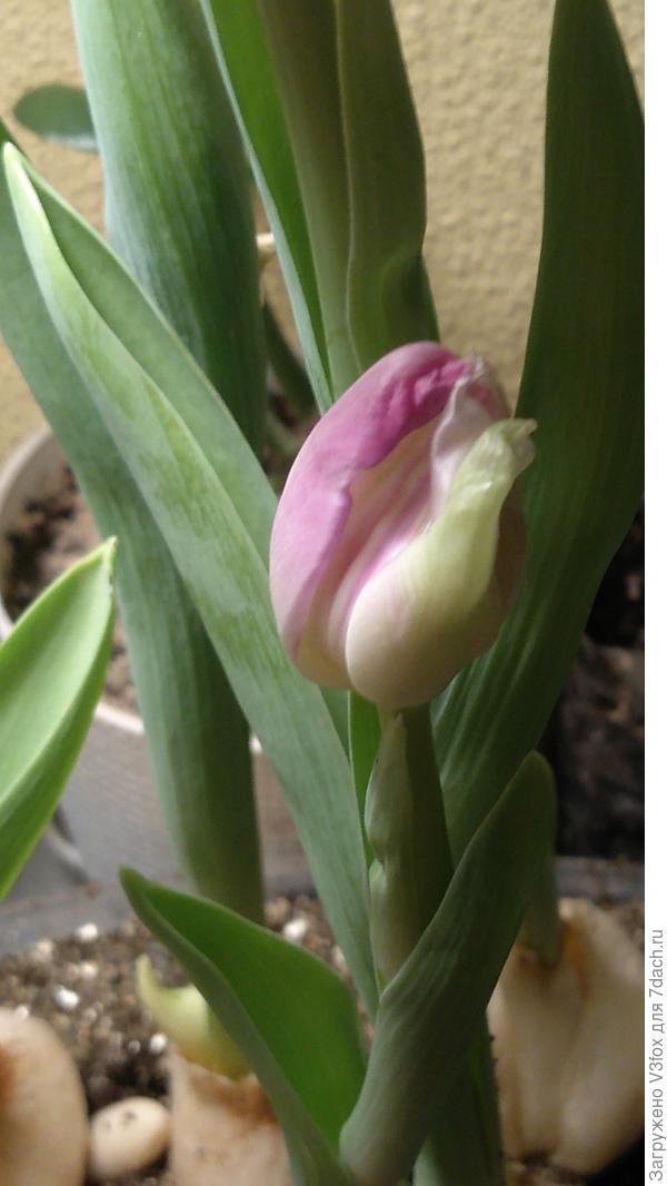 "Следующий!"-кричит заведующий. © откуда-то